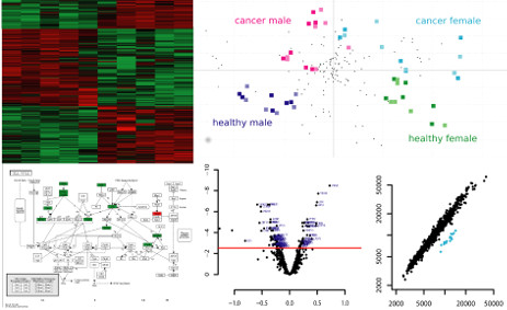 Protein expression profiling with protein arrays