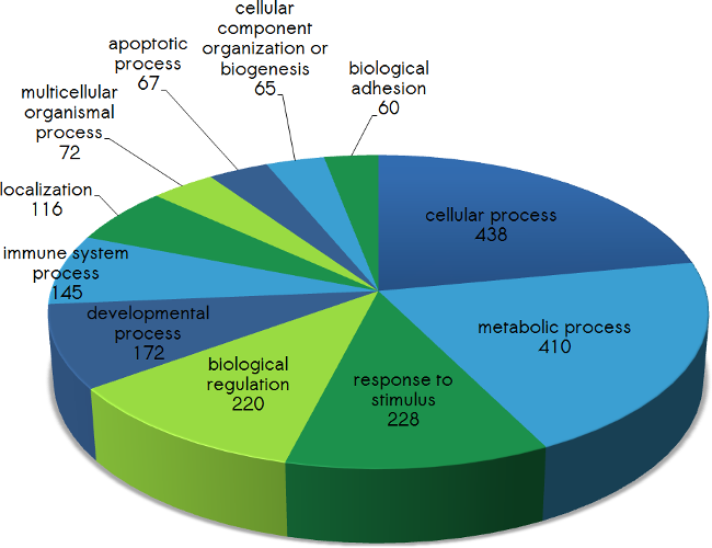 biological processes covered by protein array analysis