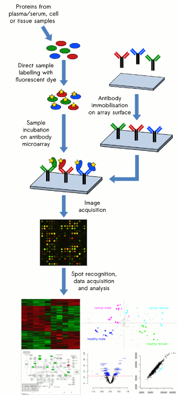 Sample-to-result service