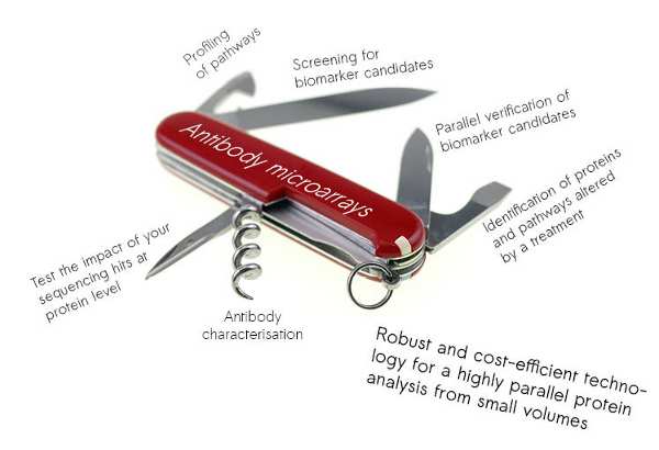 Antibody microarrays are a versatile tool.