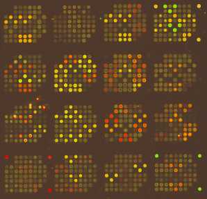 scioCD - Cell Surface Marker and Cytokine Profiling