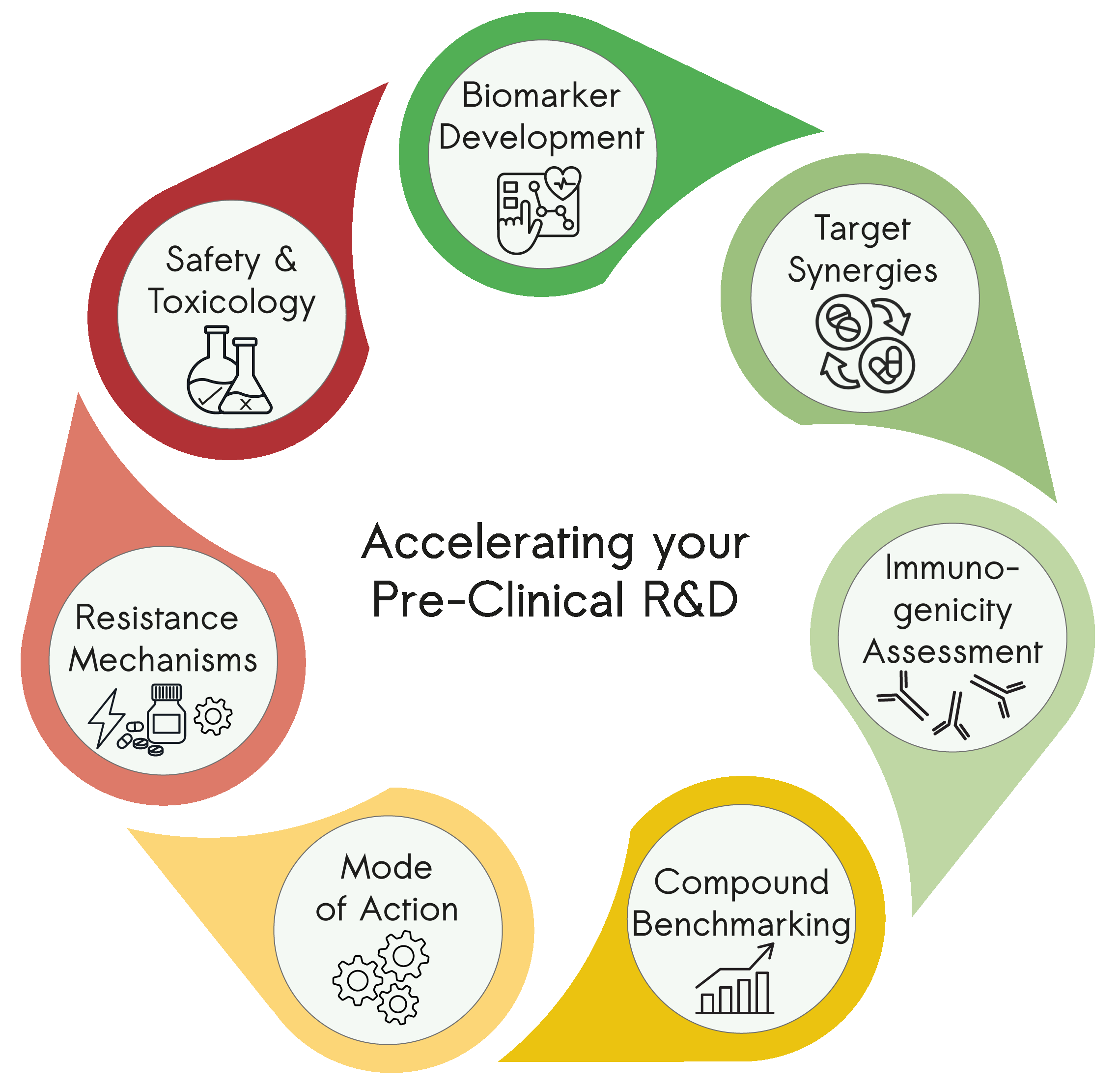 Infographic illustrating preclinical CRO services for drug discovery and development, including biomarker development, target synergy studies, immunogenicity assessment, compound benchmarking, mechanism of action analysis, resistance mechanism studies, and safety and toxicology evaluation