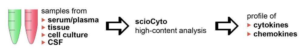 scioCyto analysis process