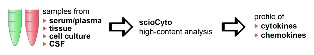 scioCyto : Cytokine Profiling