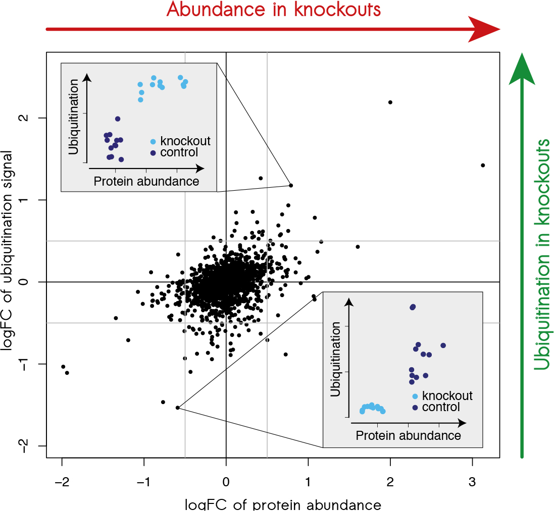 sciomics scioUbi Ubiquitination And Protein Profiling case study