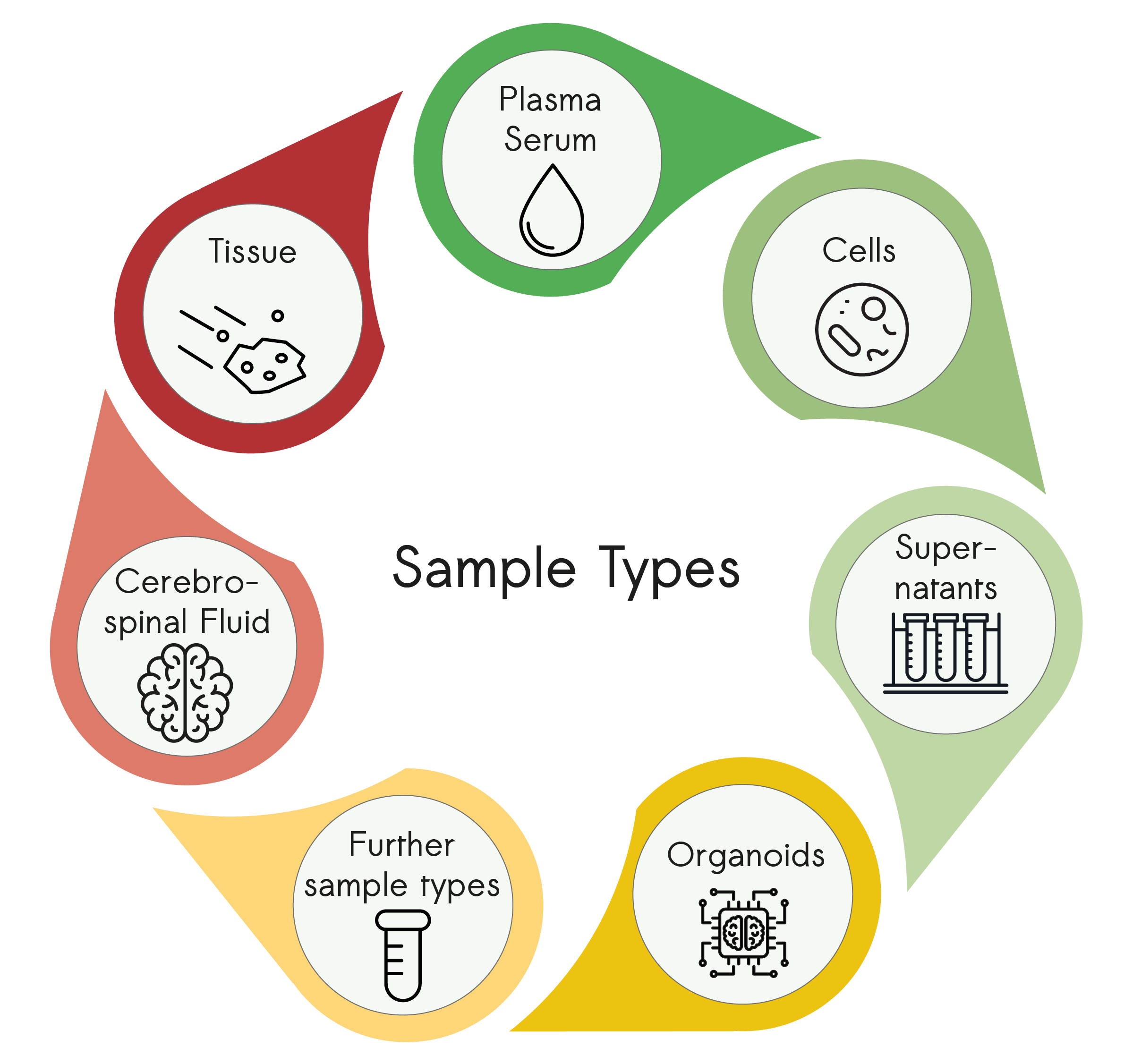Antibody Microarray Workflow for robust proteomics profiling: Illustration depicting the steps involved in protein profiling using antibody microarrays, from protein isolation and sample labeling to antibody immobilization, sample incubation, image acquisition, and data analysis for the scioDiscover platform.