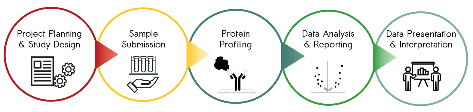 Sciomics end-to-end workflow translates complex protein data into biological insights - from study design over.
