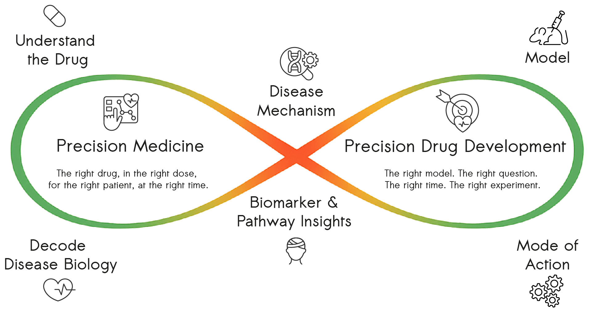 Illustration showing how biomarker and pathway insights connect precision medicine with precision drug discovery, linking disease understanding, disease mechanisms, drug mode of action, and research models.
